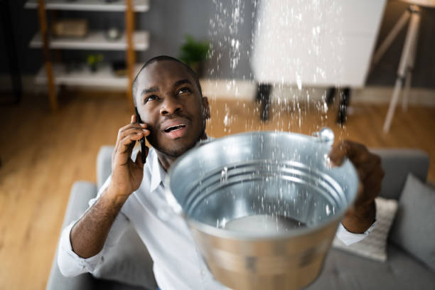 Reliable Williamsburg, FL Water damage restoration Solutions