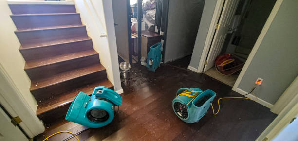Water damage restoration experts in Williamsburg, FL
