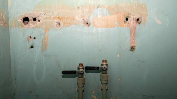 Best Water damage restoration near me  in Williamsburg, FL