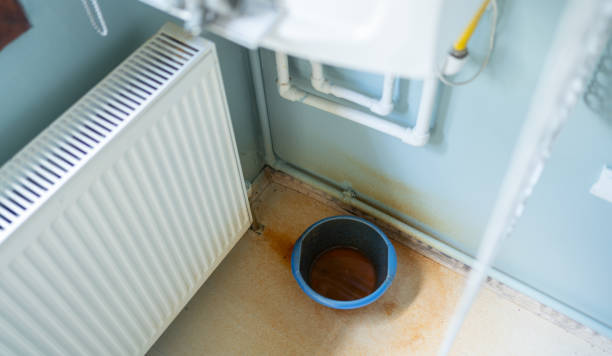 Best Water damage cleanup near me  in Williamsburg, FL