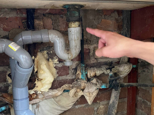 Best Emergency water damage restoration  in Williamsburg, FL