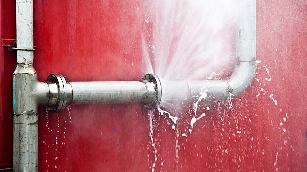 Best Carpet water damage restoration  in Williamsburg, FL